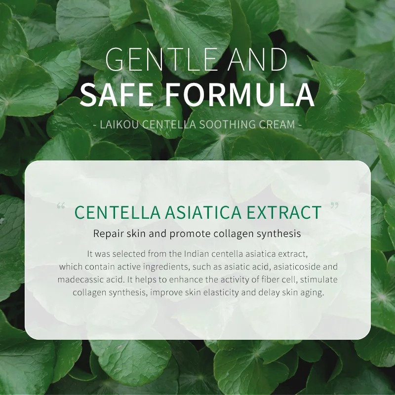 Centella Facial Cleanser Face  - Skincare Oily Skin avis et prix
